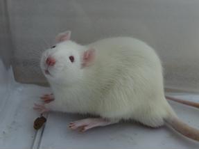 亿万先生mr·(中国区)官方网站