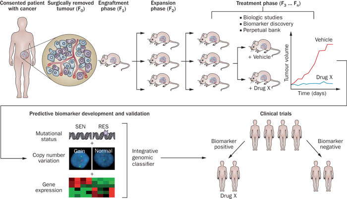 亿万先生mr·(中国区)官方网站