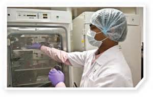 新药研发简介：新瓶装旧酒，，，，，浅谈肿瘤动物模子的变迁