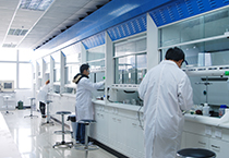 11月1日，，，，，，，亿万先生mr生物部和化学部开展年底促销活动