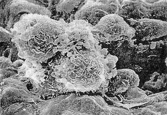 亿万先生mr·(中国区)官方网站