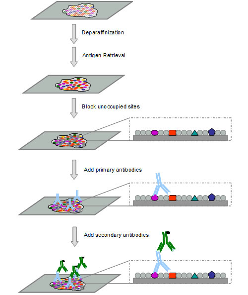 亿万先生mr·(中国区)官方网站