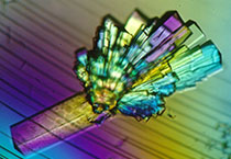 PD-1抑制剂成“抗癌神器”，，，，，，海内外企业希望怎样？？？？？？？