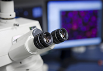 亿万先生mr载体构建效劳