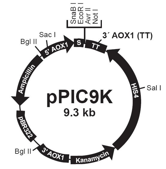 亿万先生mr·(中国区)官方网站