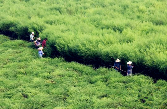 亿万先生mr·(中国区)官方网站