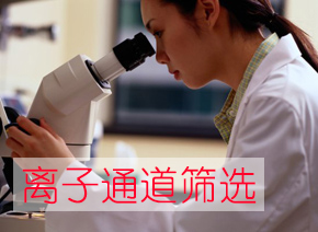 亿万先生mr离子通道筛选效劳