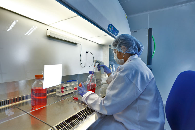 2015年药品特殊审评数据剖析：哪些新药搭上了快车？？？？？？