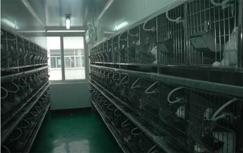 亿万先生mr实验动物房