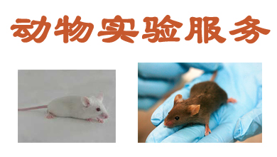 亿万先生mr动物实验外包效劳