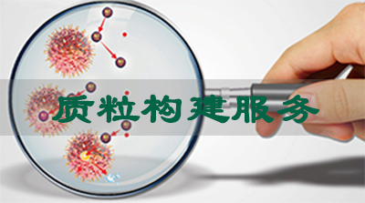 亿万先生mr质粒构建效劳