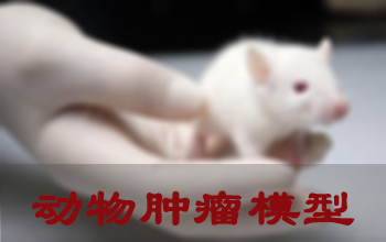 亿万先生mr肿瘤模子建设效劳