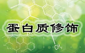 亿万先生mr·(中国区)官方网站