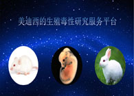 亿万先生mr的生殖毒性研究效劳平台