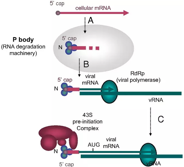 亿万先生mr·(中国区)官方网站