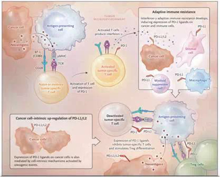 亿万先生mr·(中国区)官方网站