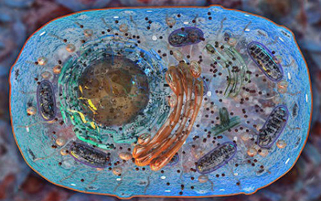 亿万先生mr·(中国区)官方网站