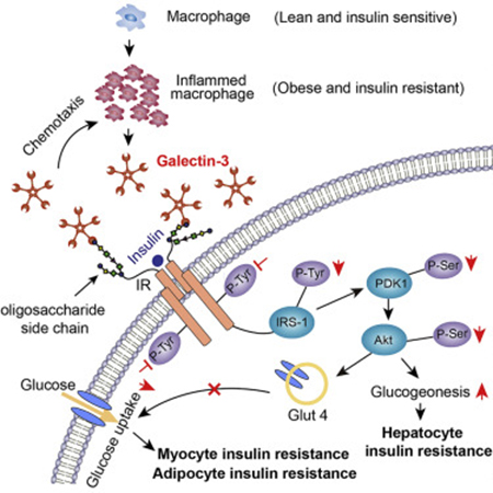亿万先生mr·(中国区)官方网站