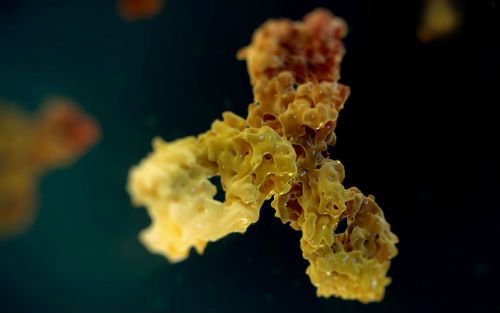 亿万先生mr·(中国区)官方网站