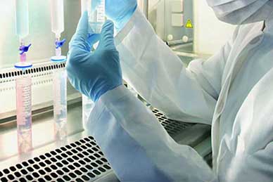 2017年，，，，，，，哪些医药领域值得关注？？？？？？？