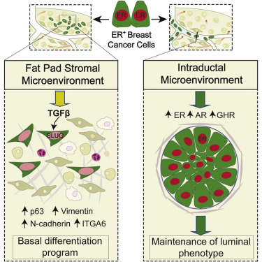 亿万先生mr·(中国区)官方网站