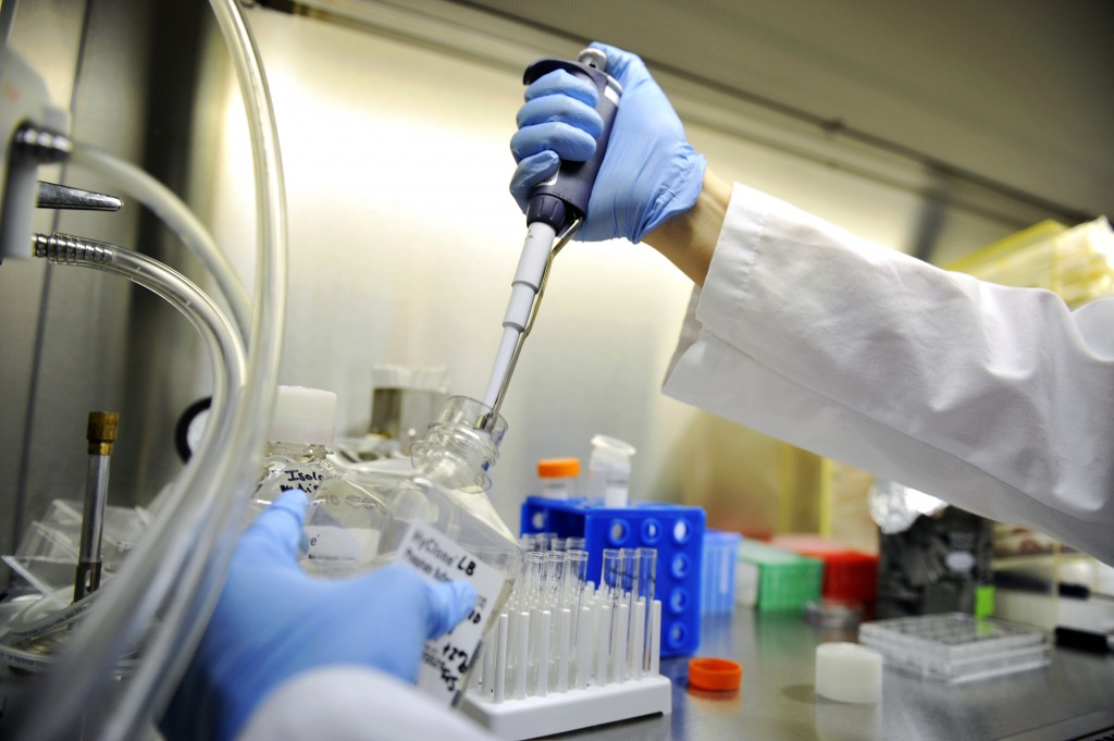 一致性评价需要遵照哪些手艺指导原则以及手艺要求？？？？？？