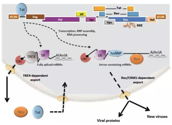 亿万先生mr·(中国区)官方网站