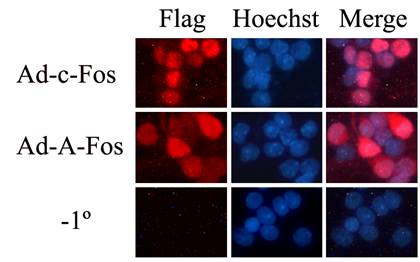 亿万先生mr·(中国区)官方网站
