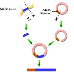 亿万先生mr·(中国区)官方网站