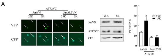 亿万先生mr·(中国区)官方网站