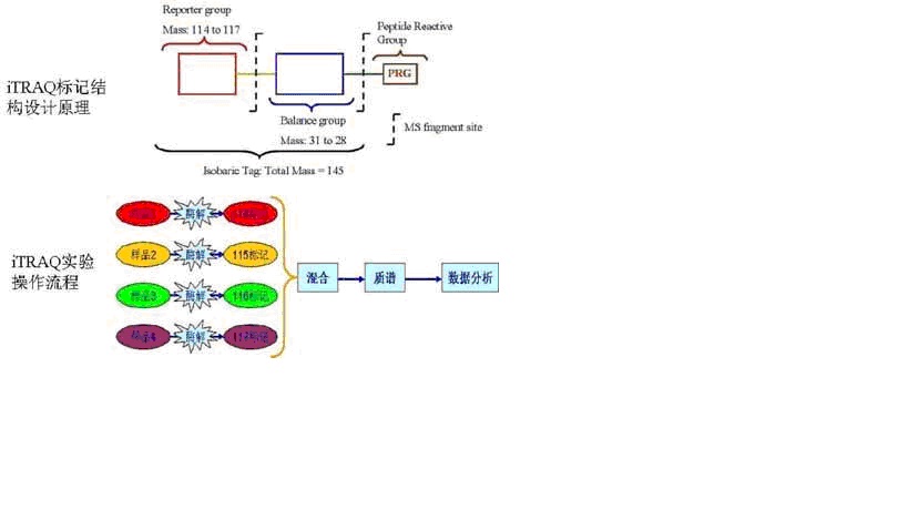 亿万先生mr·(中国区)官方网站