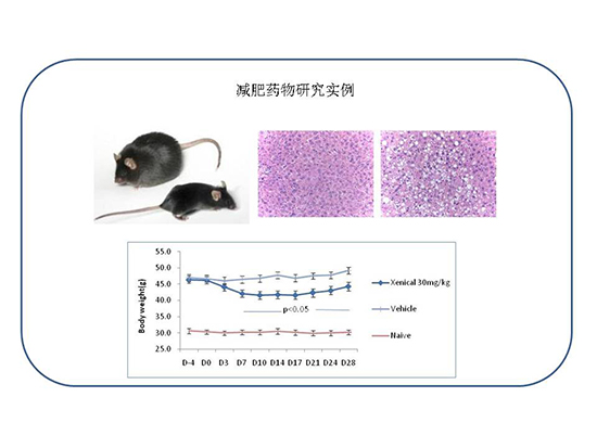 亿万先生mr·(中国区)官方网站