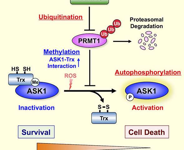 亿万先生mr·(中国区)官方网站