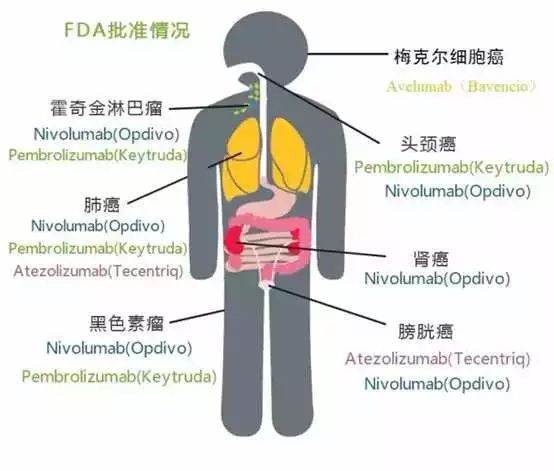 亿万先生mr·(中国区)官方网站