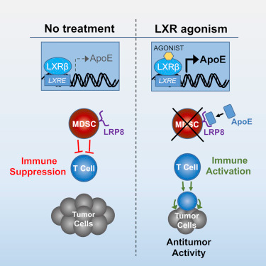 亿万先生mr·(中国区)官方网站
