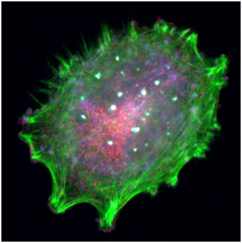 亿万先生mr·(中国区)官方网站