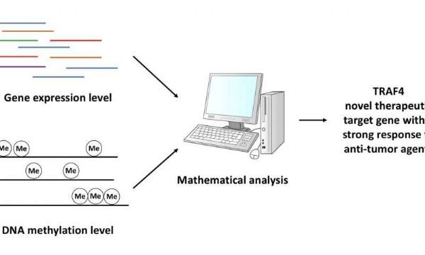 亿万先生mr·(中国区)官方网站