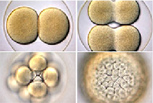 亿万先生mr·(中国区)官方网站