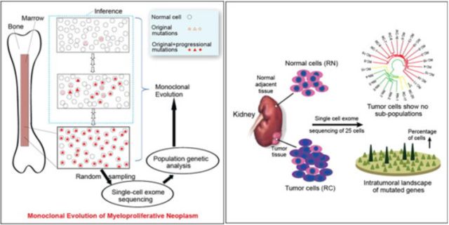 亿万先生mr·(中国区)官方网站
