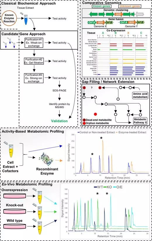亿万先生mr·(中国区)官方网站