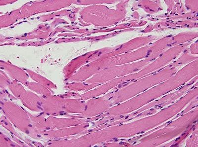 亿万先生mr·(中国区)官方网站