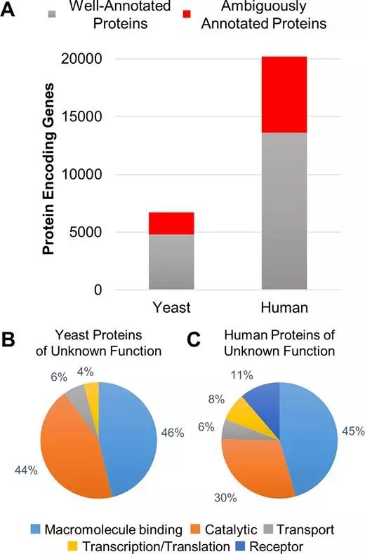 亿万先生mr·(中国区)官方网站