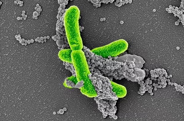 亿万先生mr·(中国区)官方网站