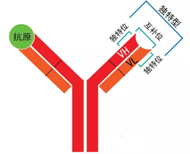 亿万先生mr·(中国区)官方网站