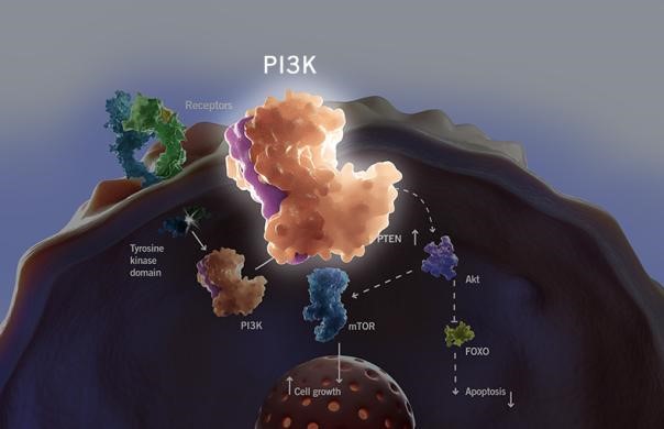 亿万先生mr·(中国区)官方网站
