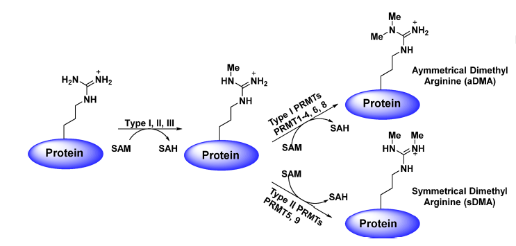 亿万先生mr·(中国区)官方网站
