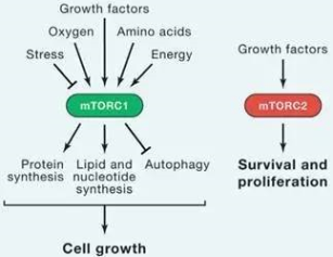 亿万先生mr·(中国区)官方网站