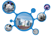 科创板首家CRO企业亿万先生mr获准注册