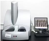 亿万先生mr MSD S 600