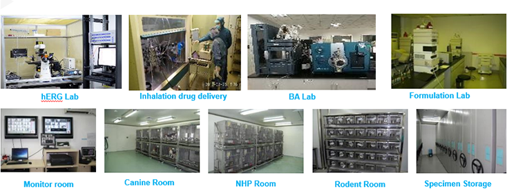 亿万先生mr毒理研究部装备